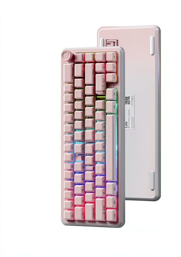 Womier L65 Wireless Mechanical Keyboard RGB Hot Swap Pink-3
