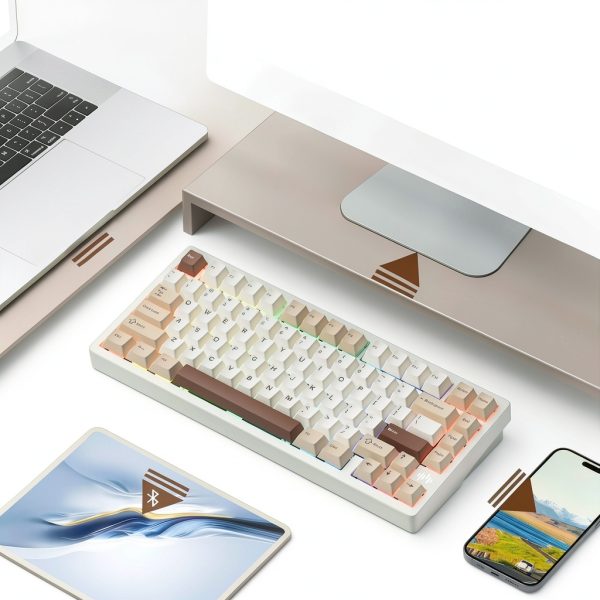 Womier RD75 Pro Wireless Gaming Keyboard Mechanical RGB-2