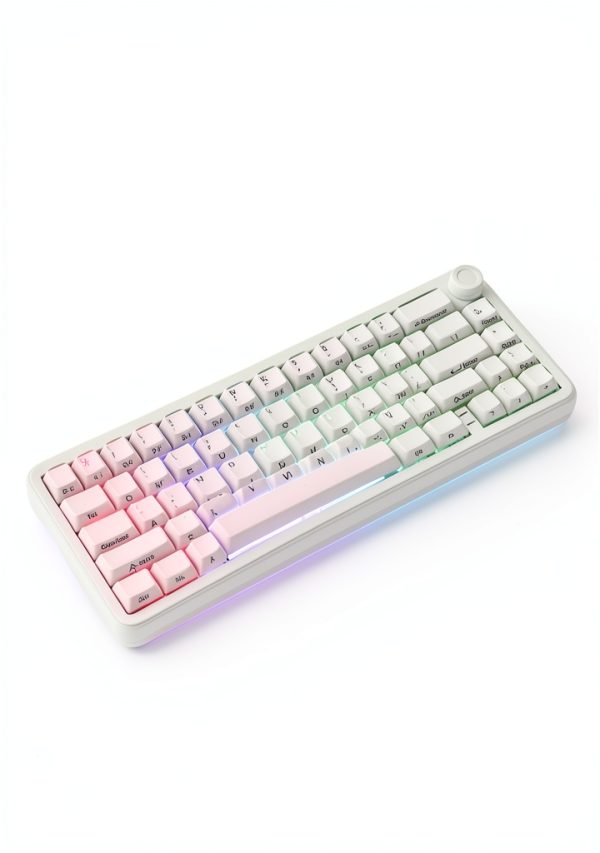 Womier L65 Wireless Mechanical Keyboard RGB Hot Swap Pink-2