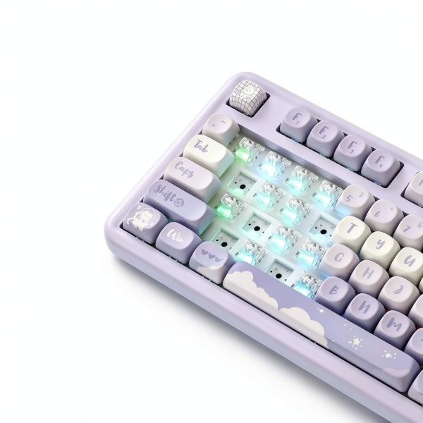 Wikistore B87 Wireless Mechanical Keyboard Hot Swap RGB-5