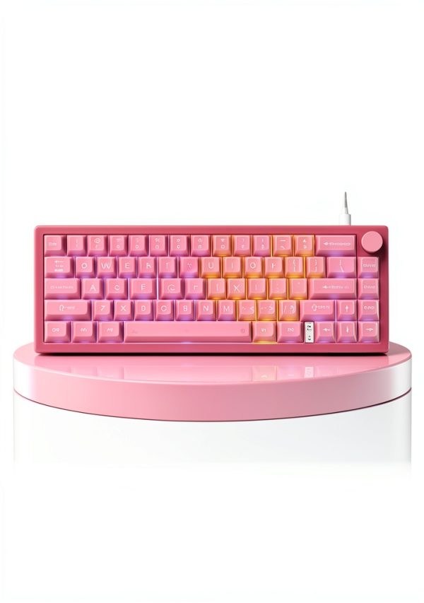 Womier VK66 Pro 65 Gaming Keyboard QMK VIA Hot Swappable-2