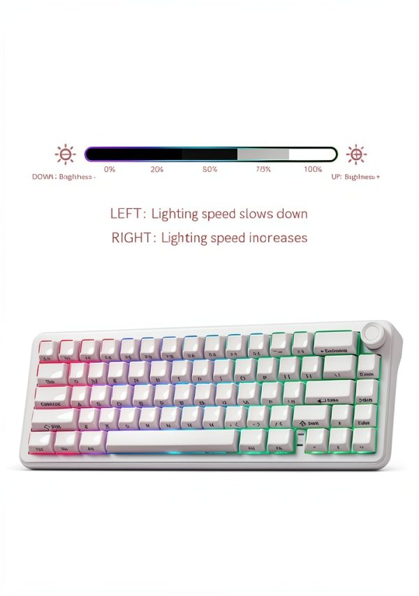 Womier L65 Wireless Mechanical Keyboard RGB Hot Swap Pink-4