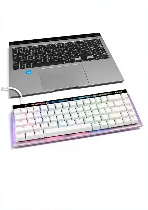 Womier VK68 65 Mechanical Keyboard Wired Backlit Gaming-7