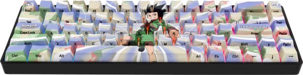 Higround Hunter x Hunter Gaming Keyboard 65% RGB Mechanical-4