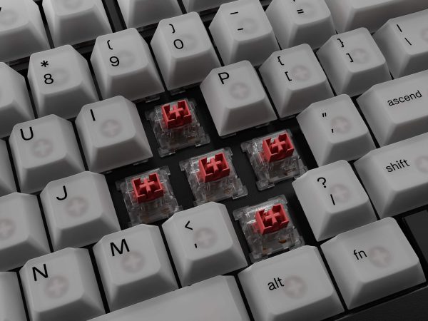 Glorious Polychroma RGB Keycaps for Mechanical Keyboards-12