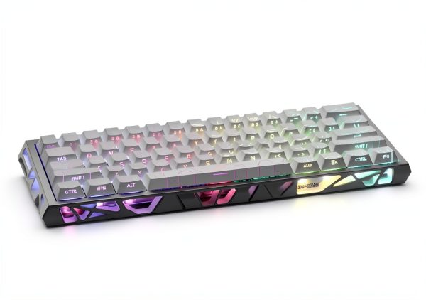 Loheer NJ61 60% Mechanical Keyboard Hollow RGB-0