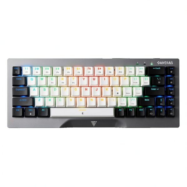 Hermes M4 Hybrid 65% Wired Gaming Keyboard - Gunmetal Grey by GAMDIAS-1